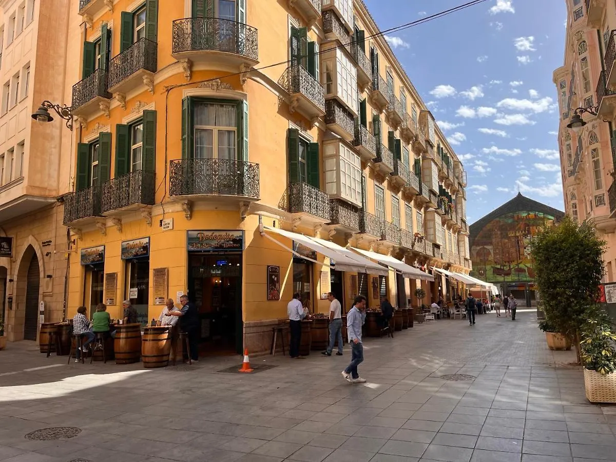 Homely Malaga Sebastian Souviron Biznaga Deluxe شقة